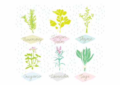 herbs-garden-greeting-card.jpg